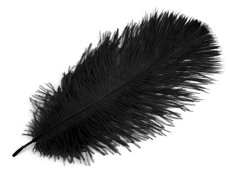 Black feather, 20-25 cm