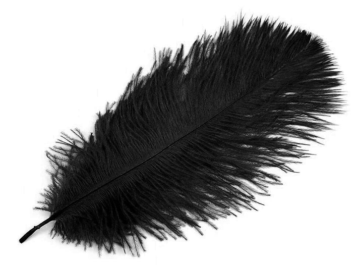 Black feather, 20-25 cm