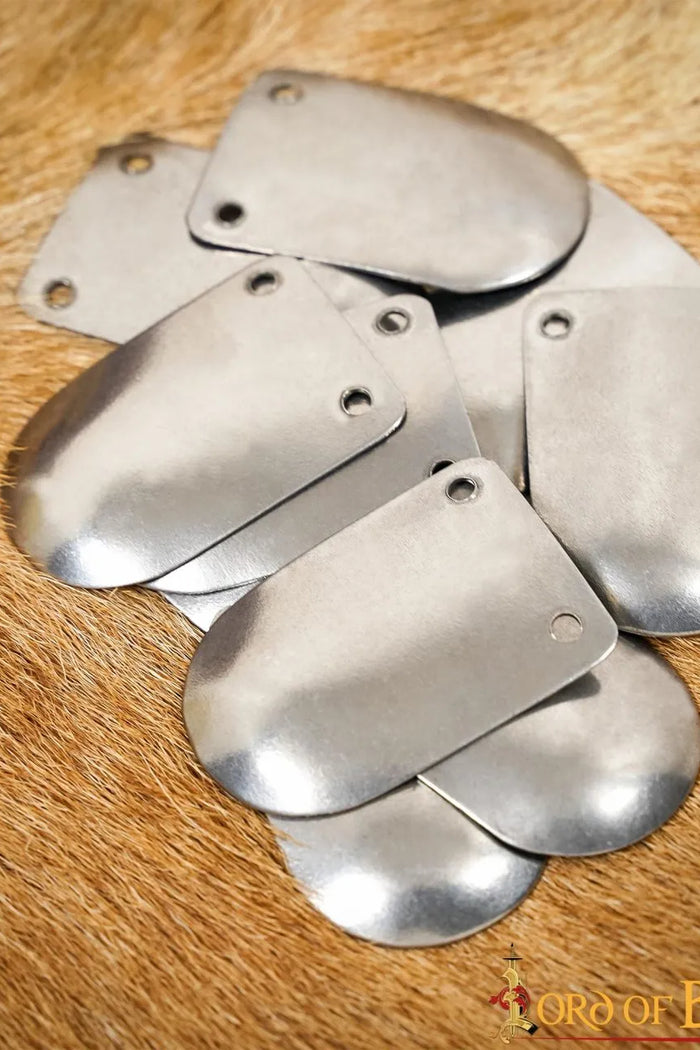 Early Medieval scale armour, 100x