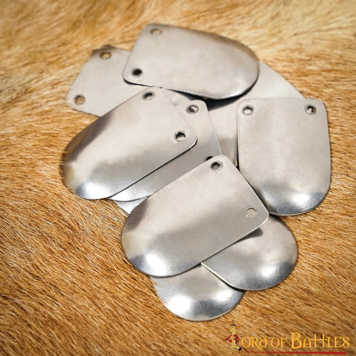 Early Medieval scale armour, 100x