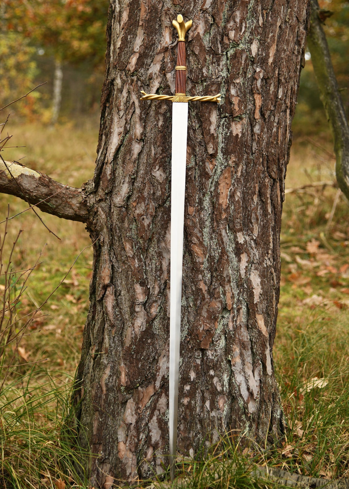 Medieval sword Oakeshott XVIII, semi-sharp