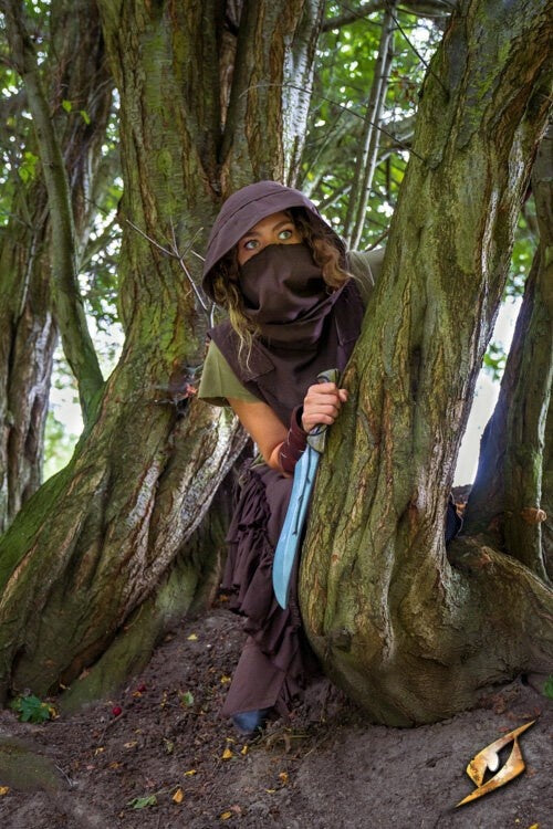 Rogue dress, brown