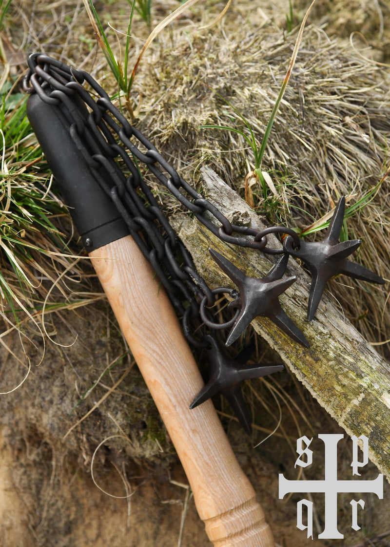 Medeltida stridsvlegel med tre stjärnor