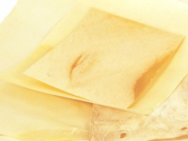Parchment sheet 20x15 cm