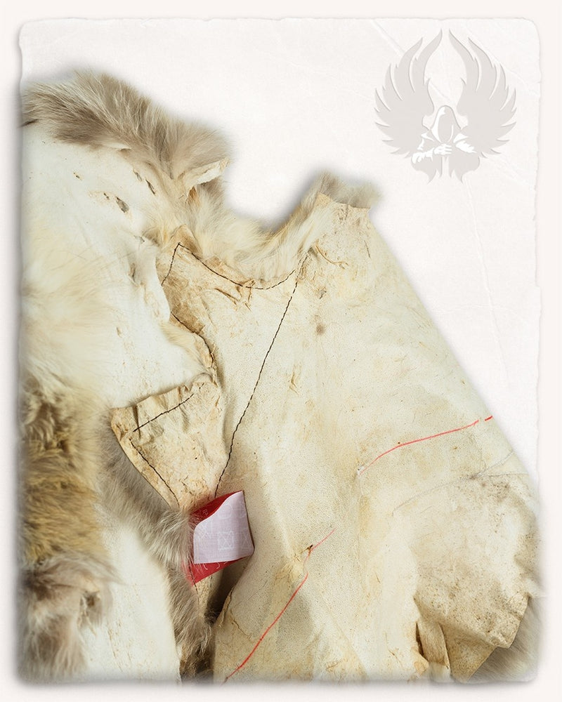 Fur collar fox, brown