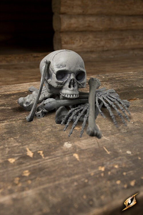 Bag with 18 bones