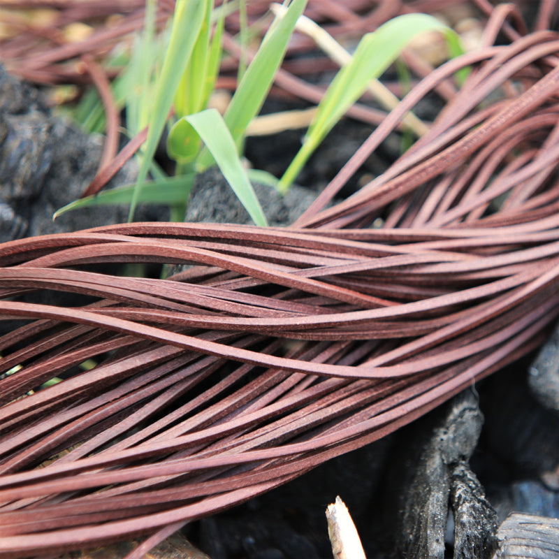 Lädersnöre, set med 10, brun