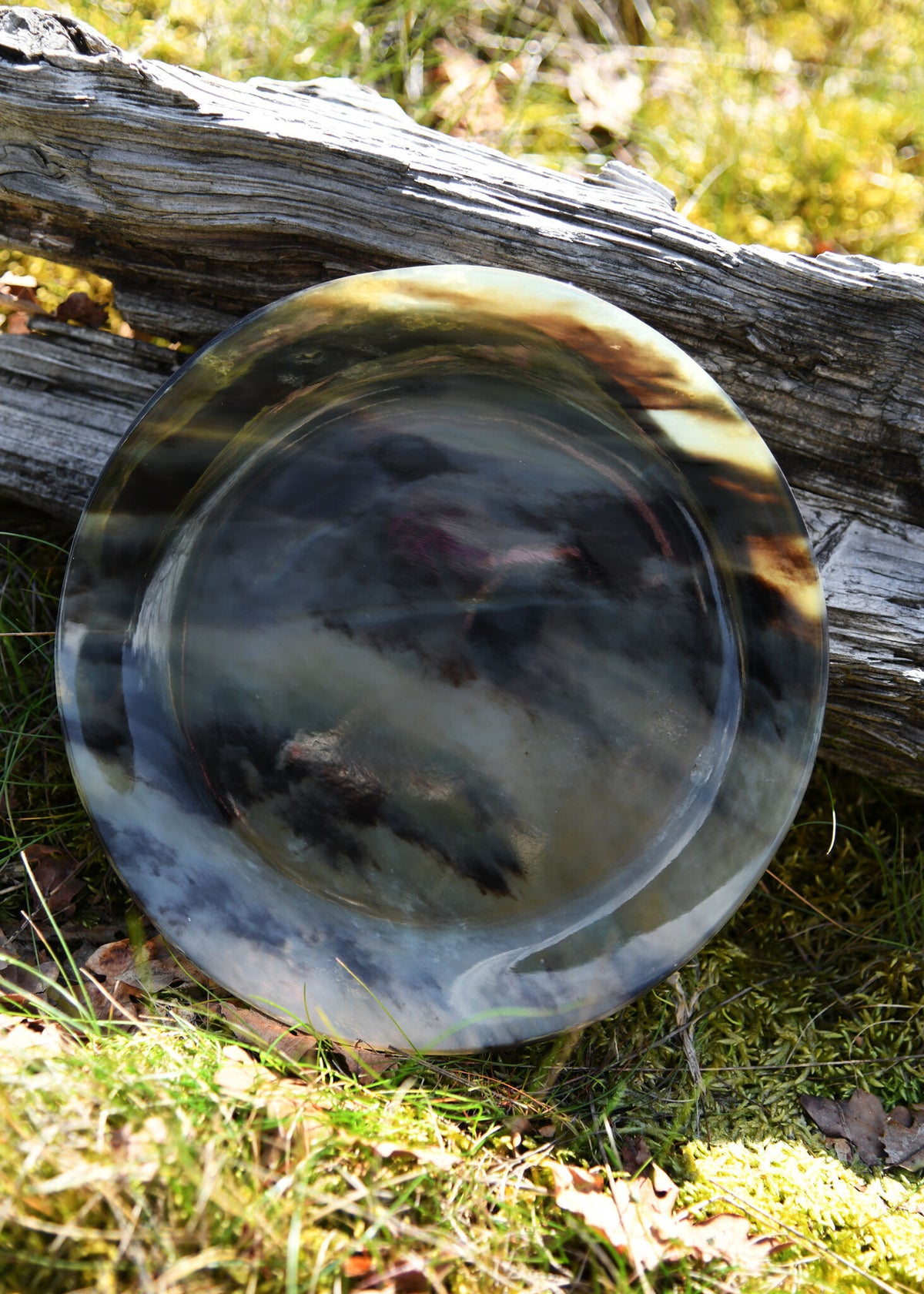 Horn plate