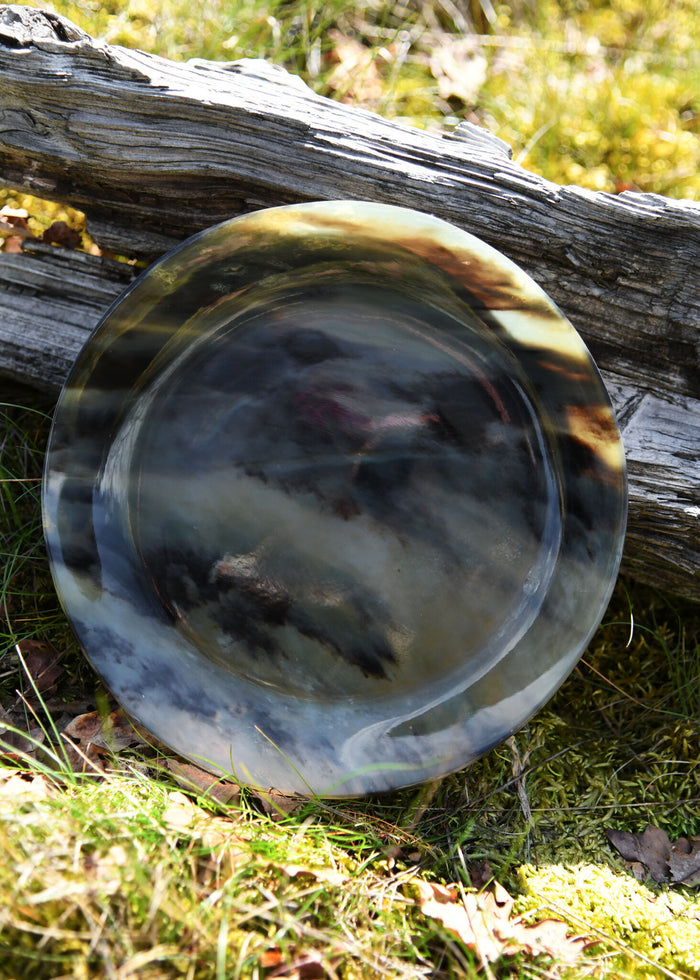 Horn plate