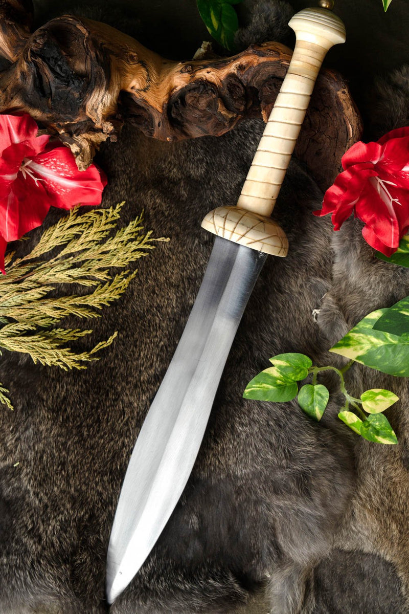 Gladiatorendolch Pompeji, halbscharf