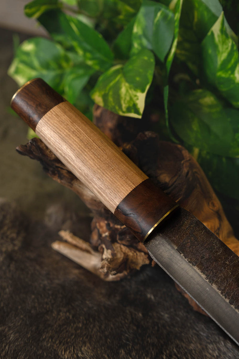 Germansk sax Leuthari, halvskarp