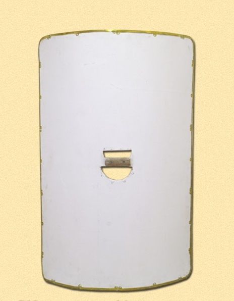 Unpainted Roman scutum