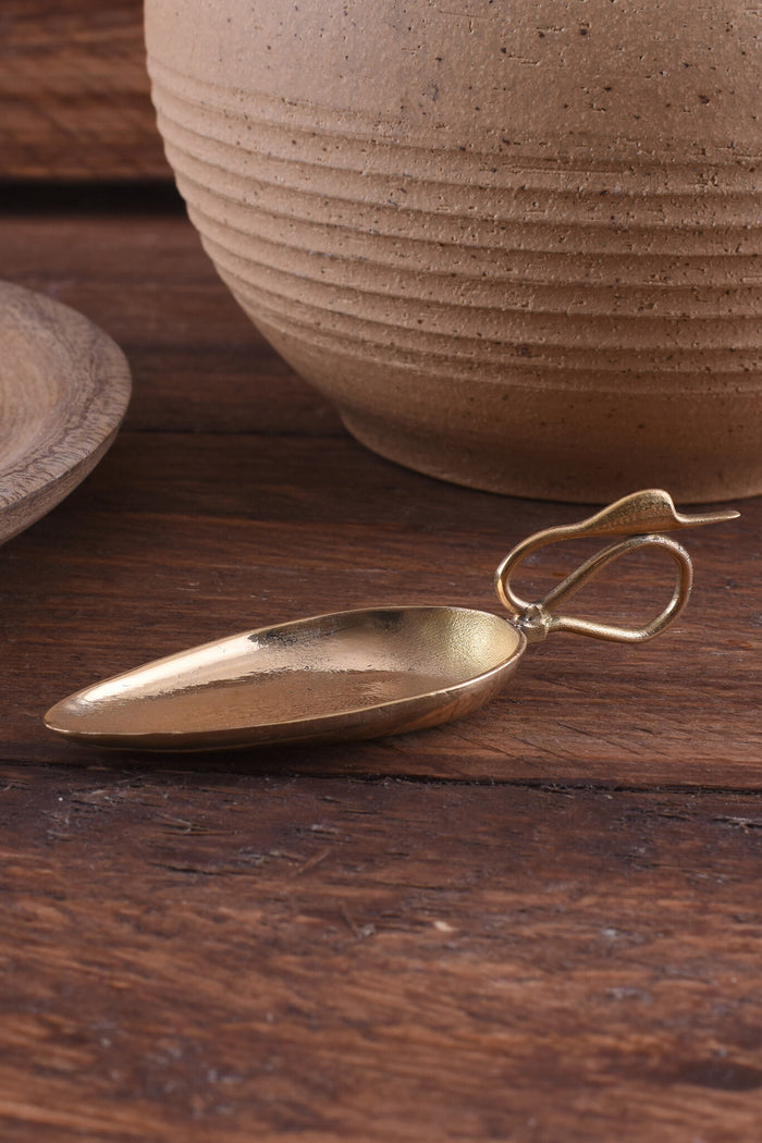 Brass cignus (Roman spoon)