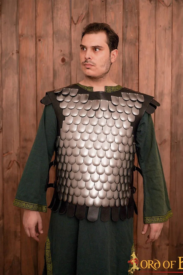 Scale Armour, Lorica Squamata, steel