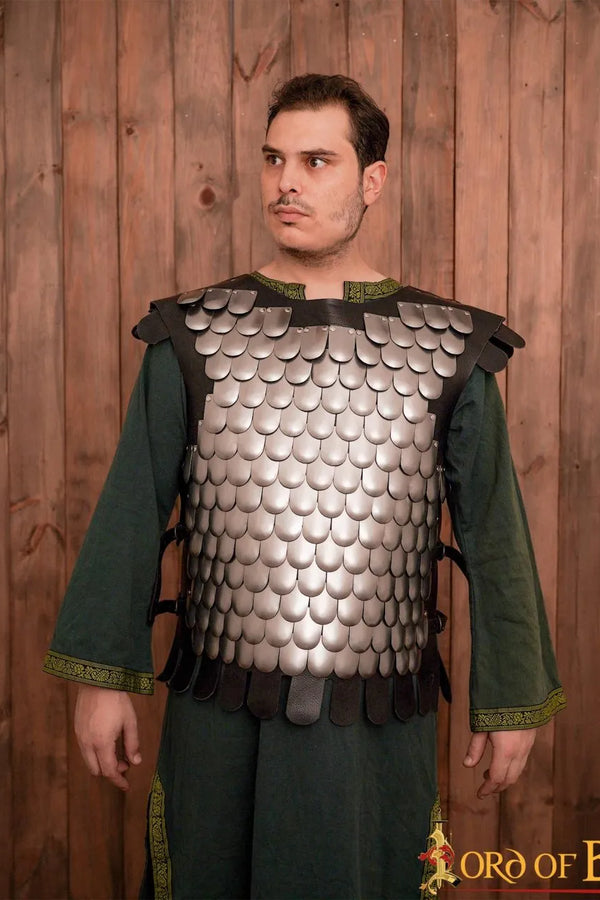 Scale Armour, Lorica Squamata, steel
