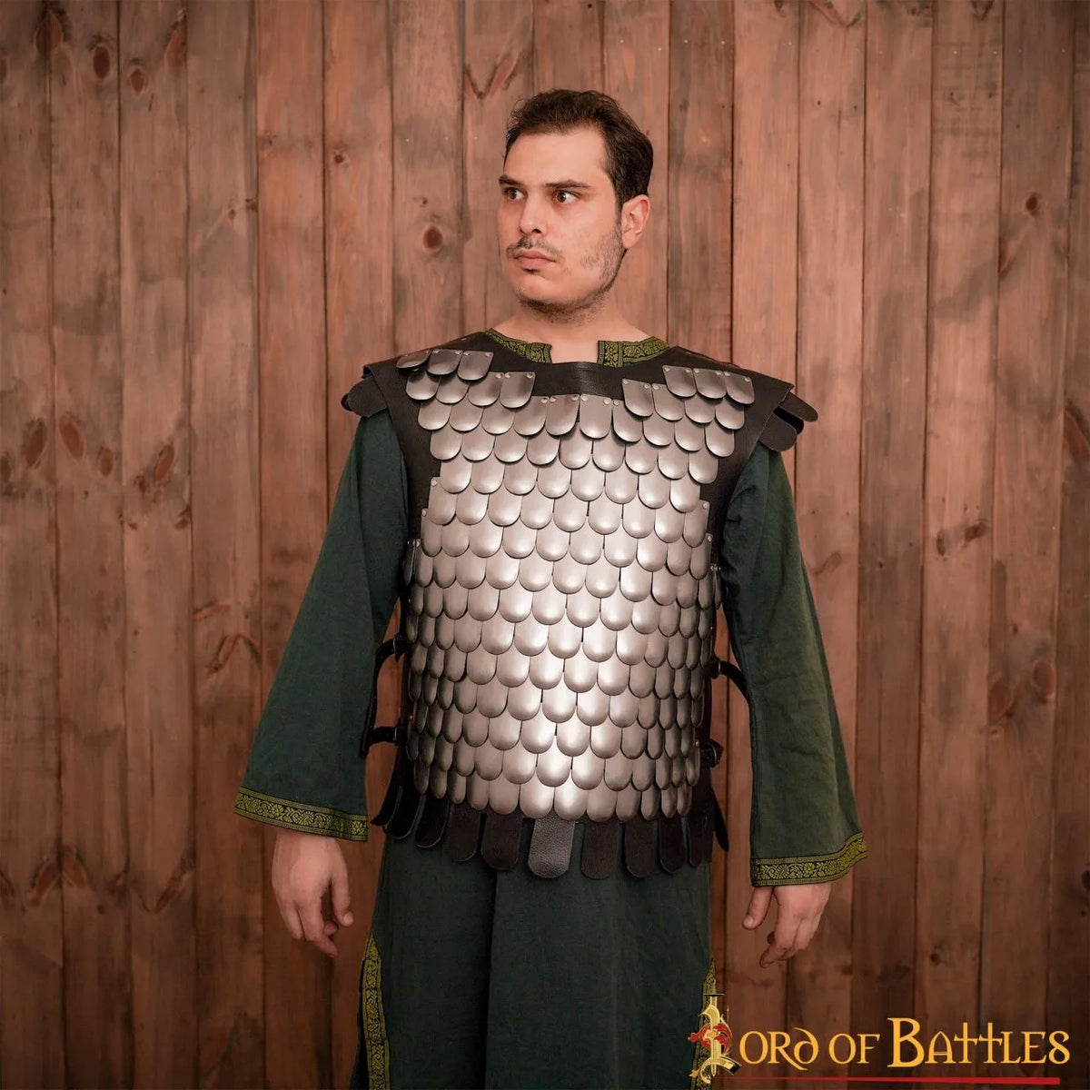 Scale Armour, Lorica Squamata, steel