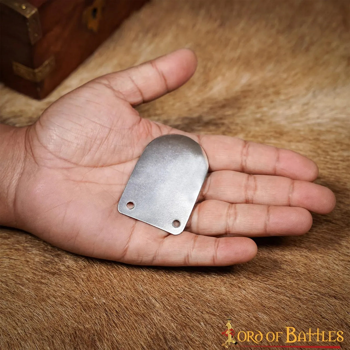 Early Medieval scale armour, 100x
