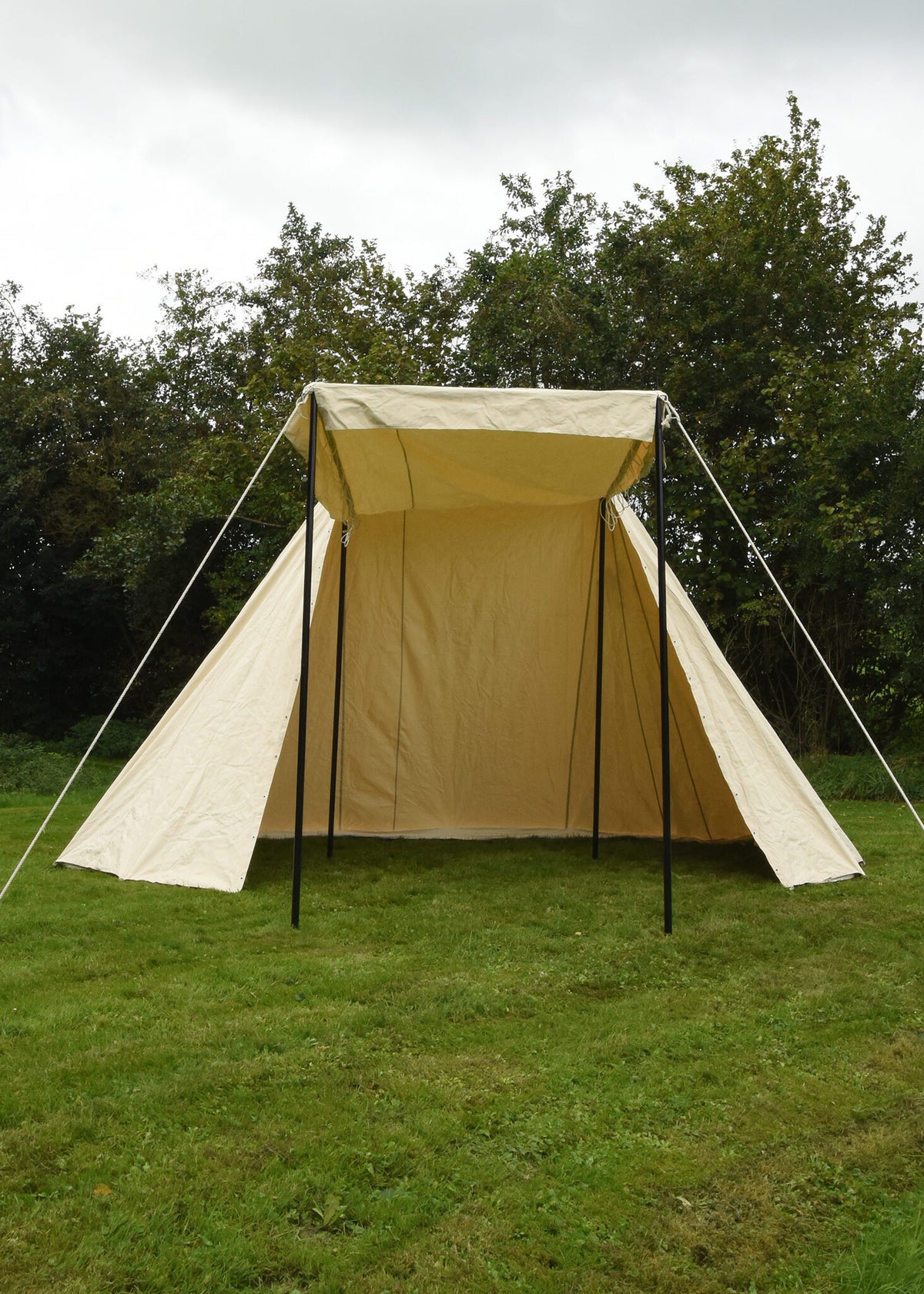 Saxon market tent 4 x 6 m, 425 gsm