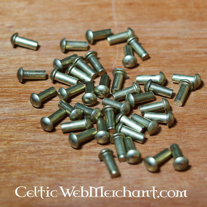 50 brass rivets 4 mm, long