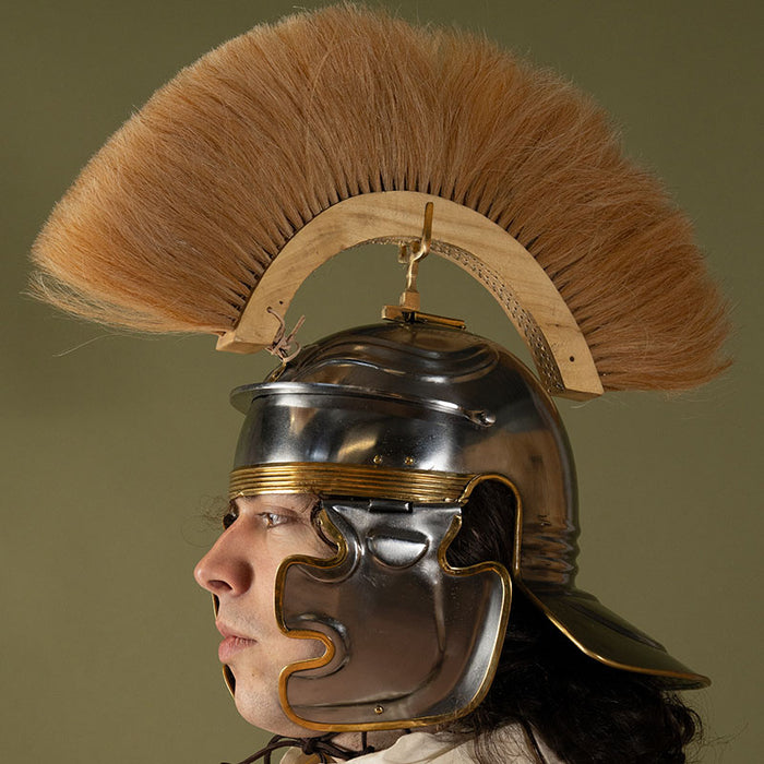 Roman crest, white