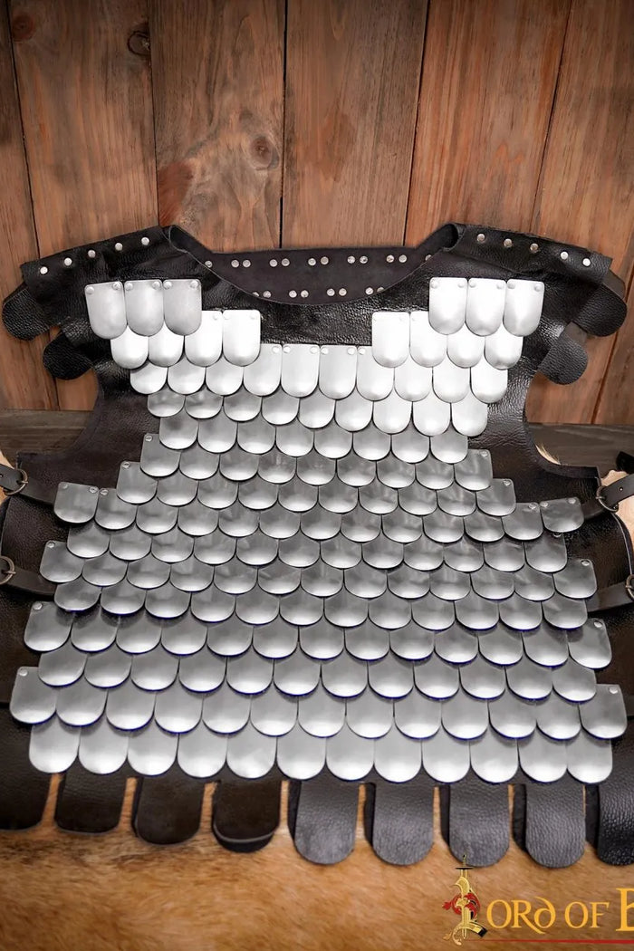 Scale Armour, Lorica Squamata, steel