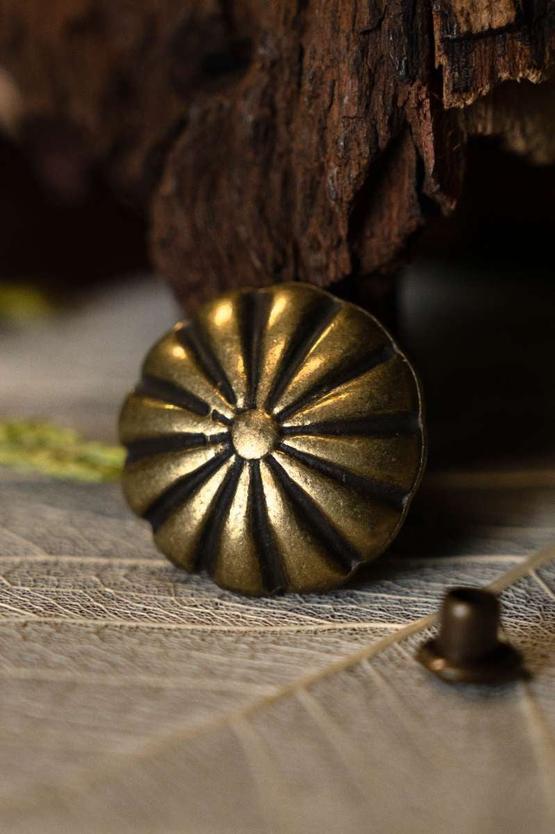 Garniture de ceinture médiévale avec rosette, lot de 5 pièces, laiton