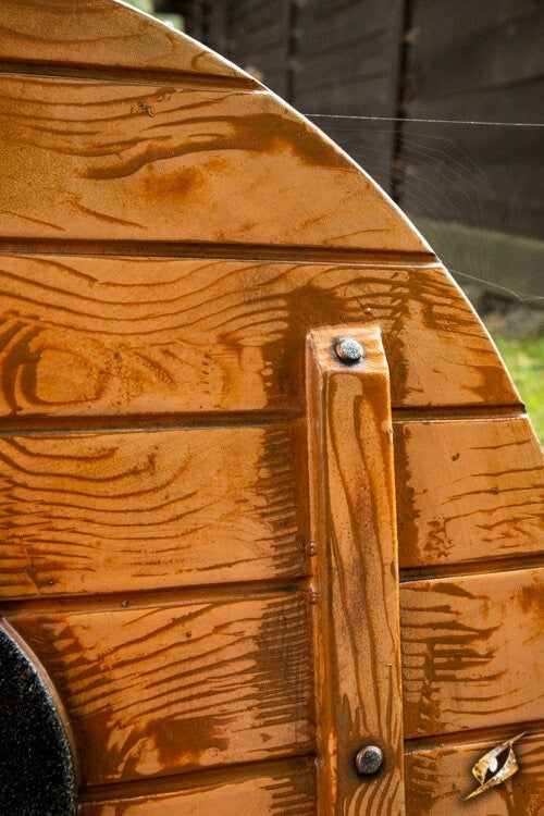 LARP Viking round shield Odin's raven