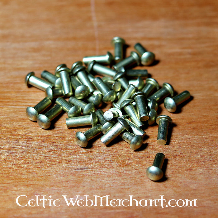 50 brass rivets 4 mm, short