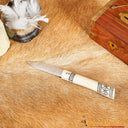 Viking folding knife Birka, stainless steel, semi-sharp