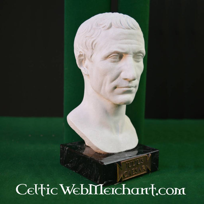 Bust Julius Caesar