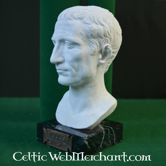 Bust Julius Caesar