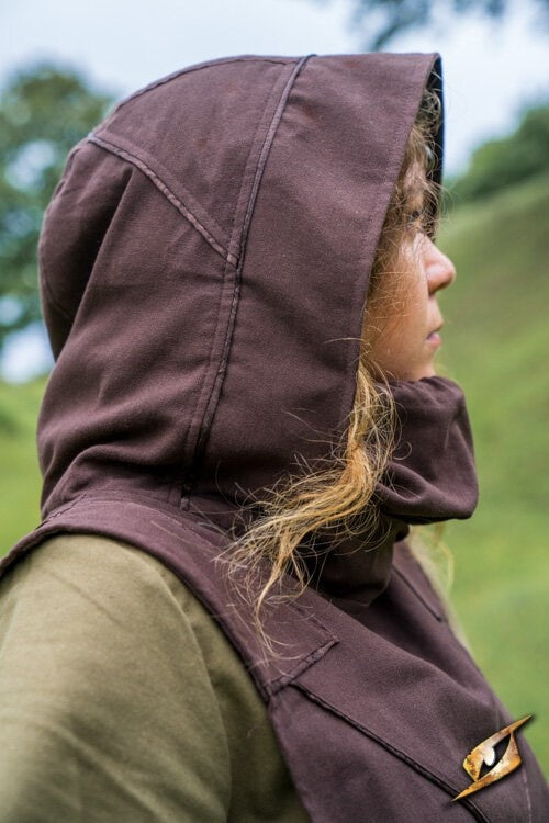 Rogue dress, brown