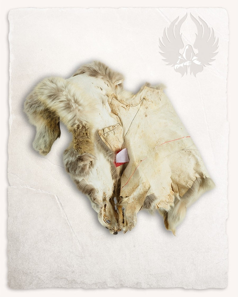 Fur collar fox, brown