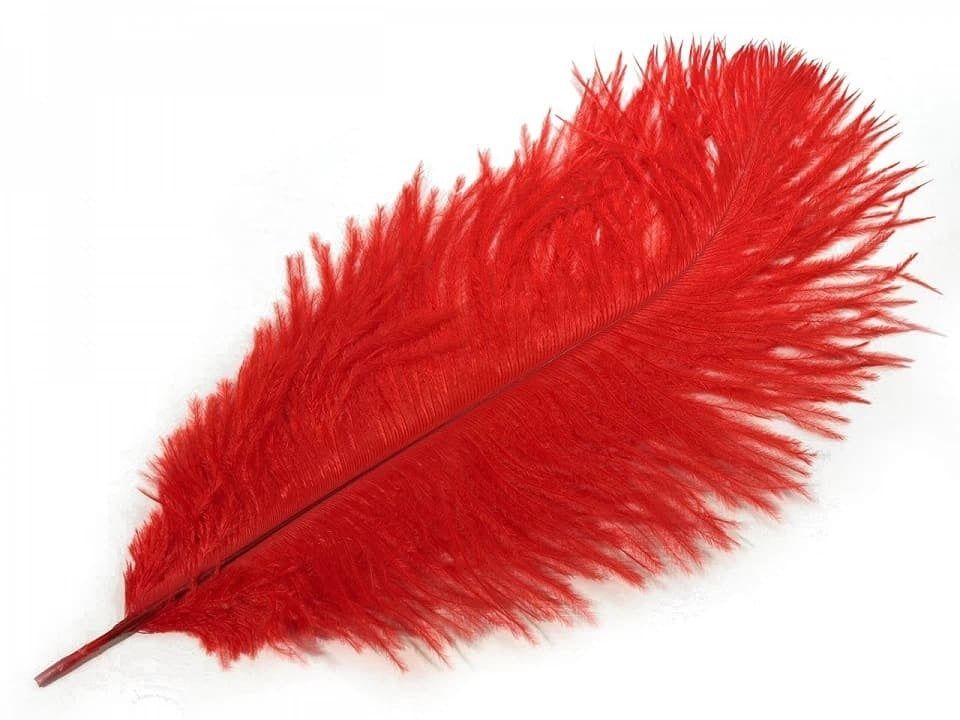 Red feather, 20-25 cm