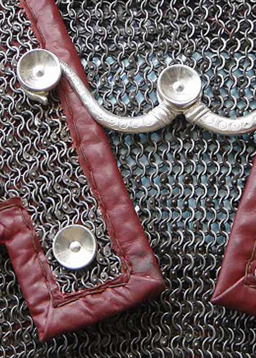 Hooks for Lorica hamata Chassenard