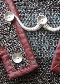 Hooks for Lorica hamata Chassenard