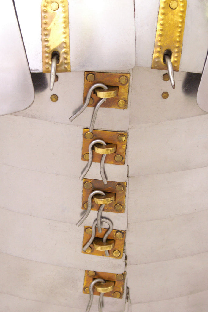 Lorica segmentata Newstead, 1.2 mm