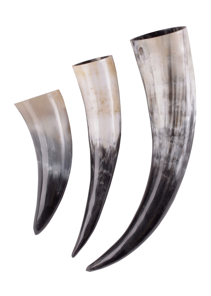 Drinking horn, several sizes