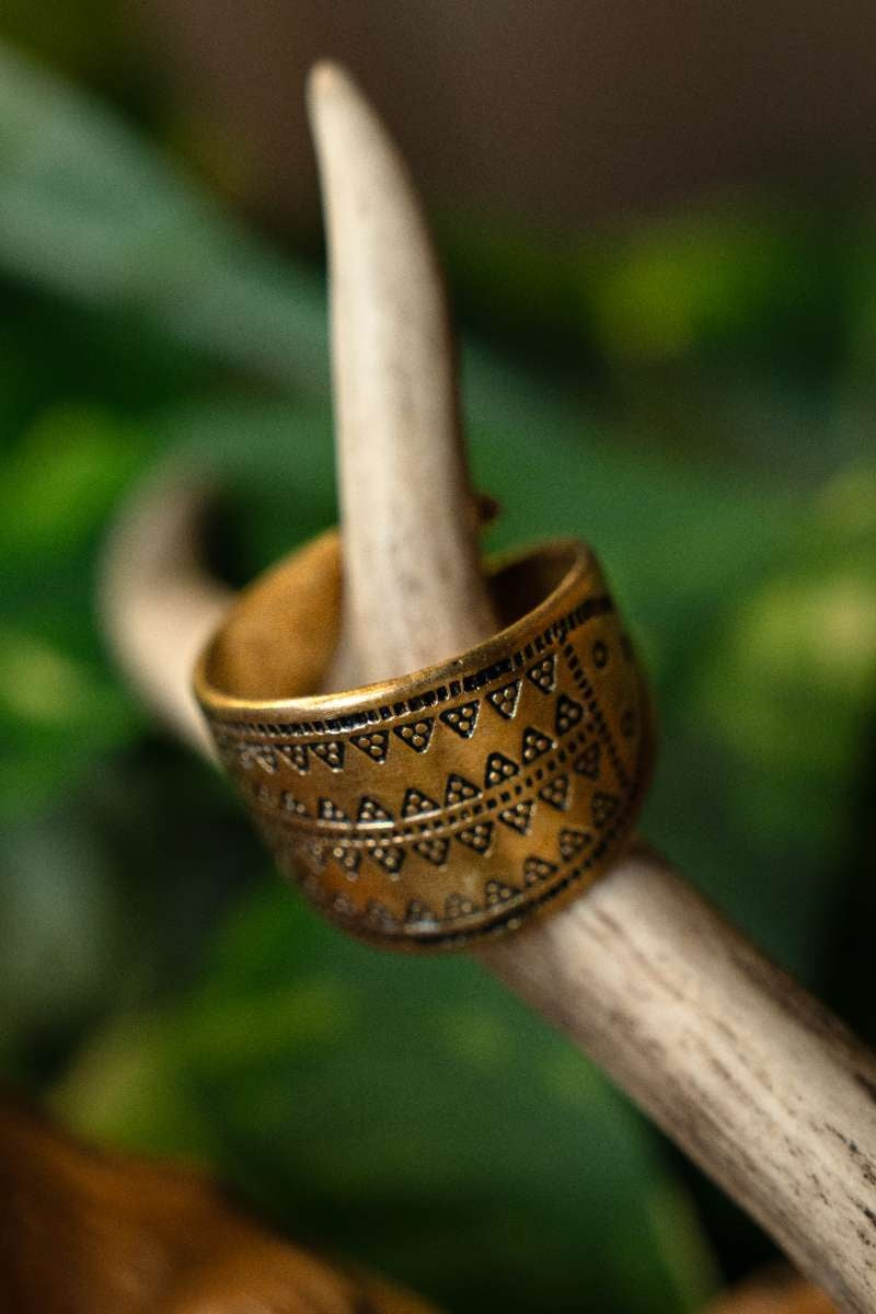 Rusvik ring Novgorod, bronze