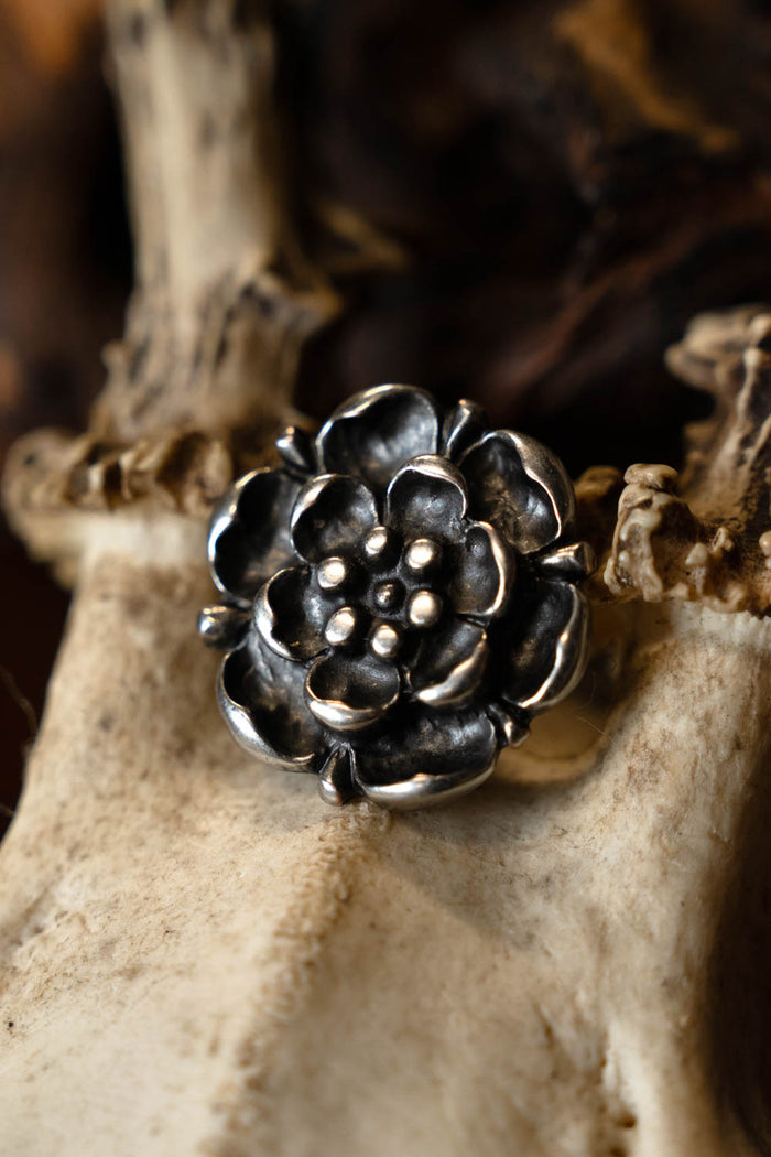 Tudor rose belt fitting (set of 5 pieces), bronze