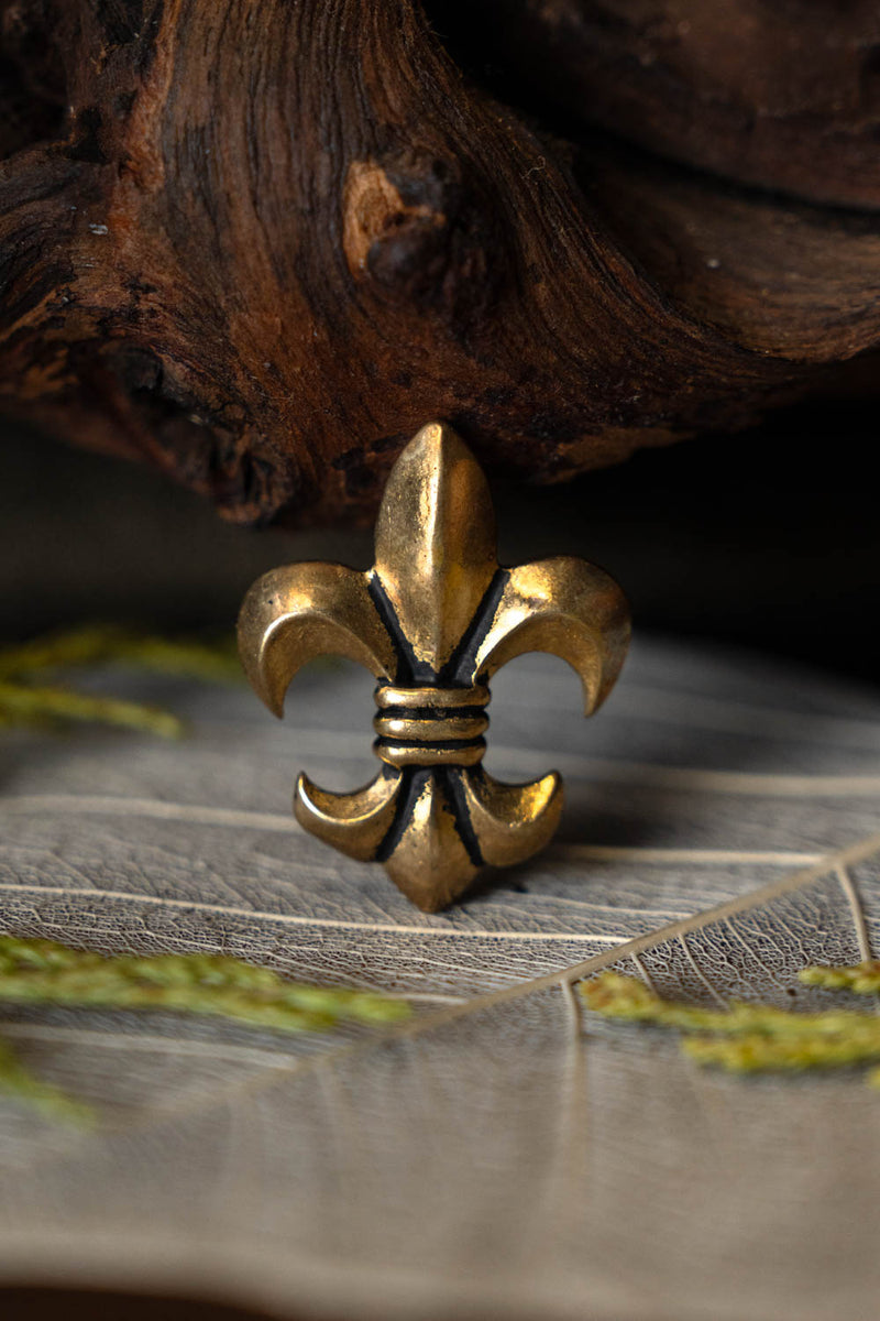 Fleur de Lys Riemenbeschlag, Set mit 5 Stück, Bronze