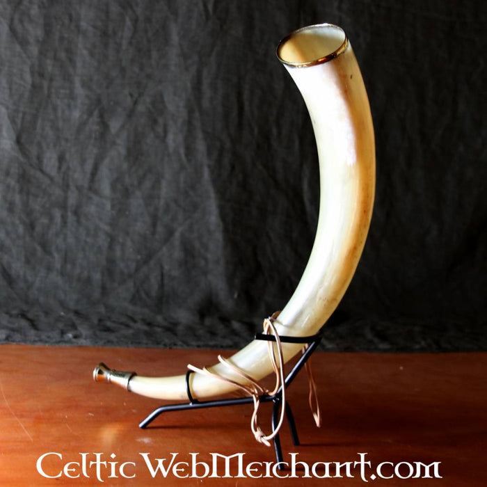 Early medieval signal horn