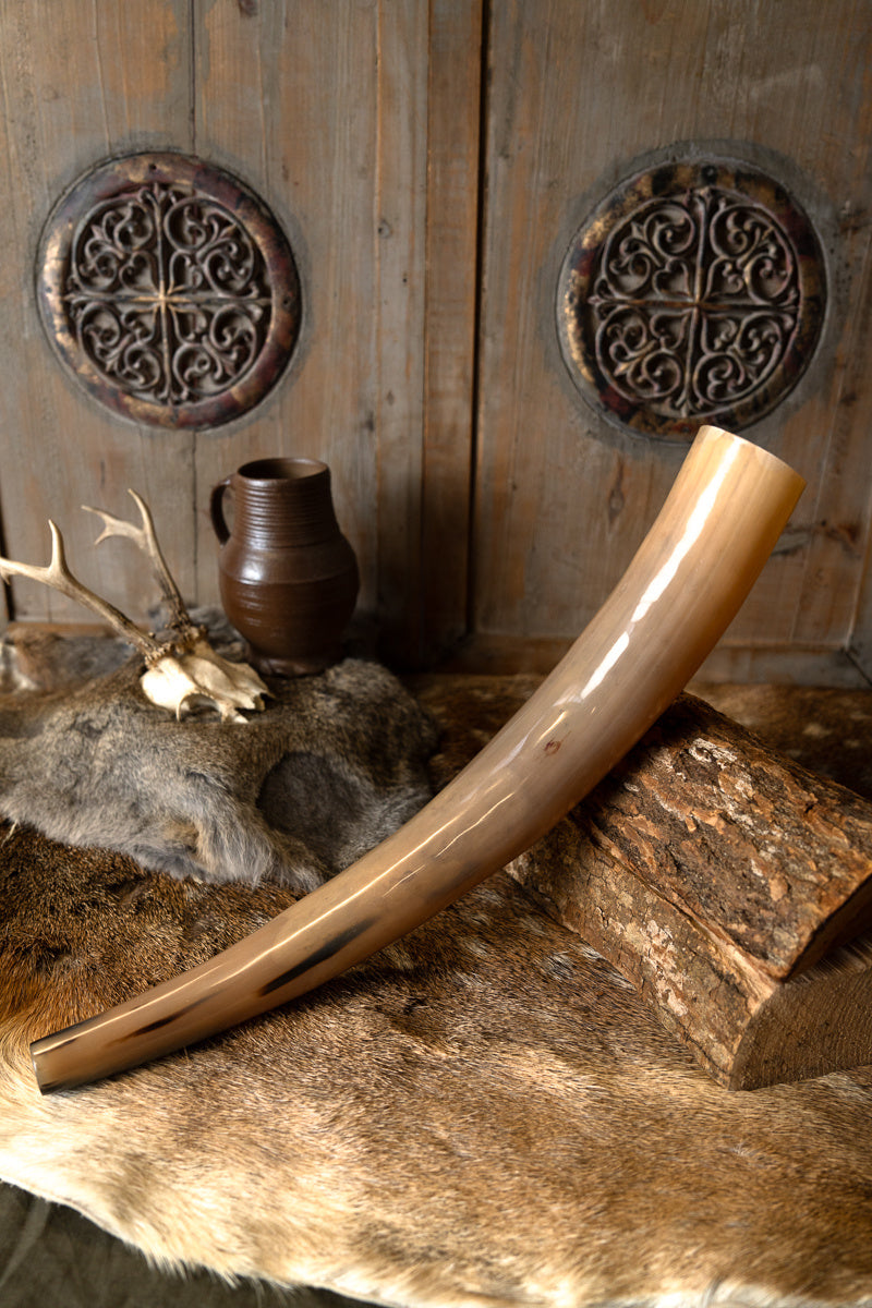 Viking signal horn
