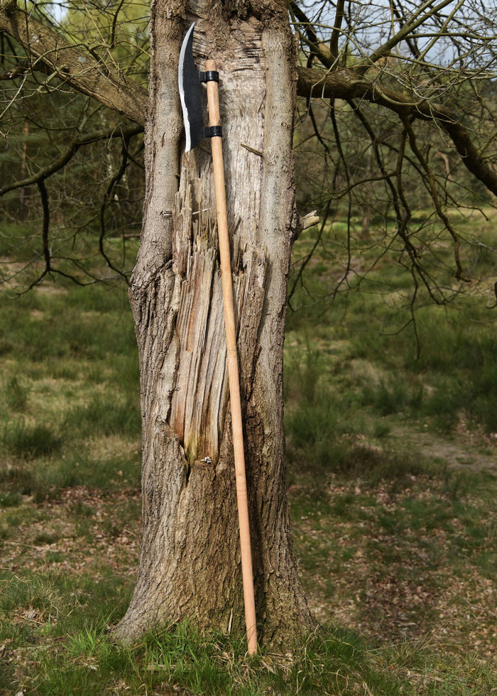 15th century voulge, semi-sharp