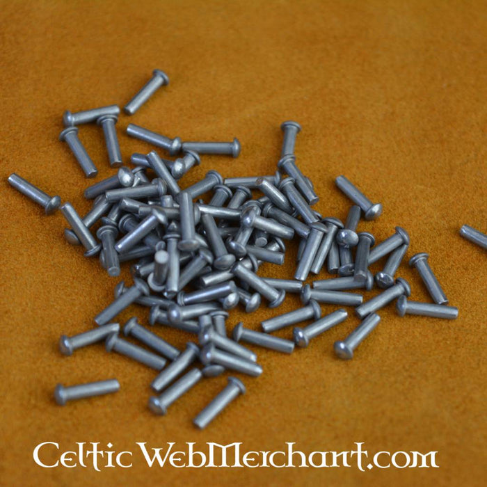 100 steel rivets 12 mm