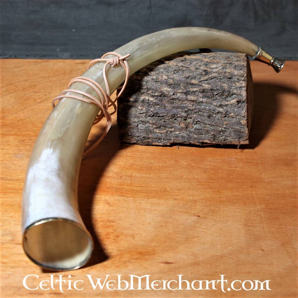 Early medieval signal horn