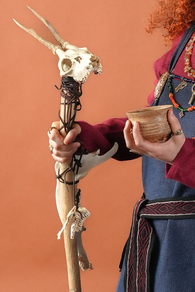 Crâne de cerf avec bois et mâchoires