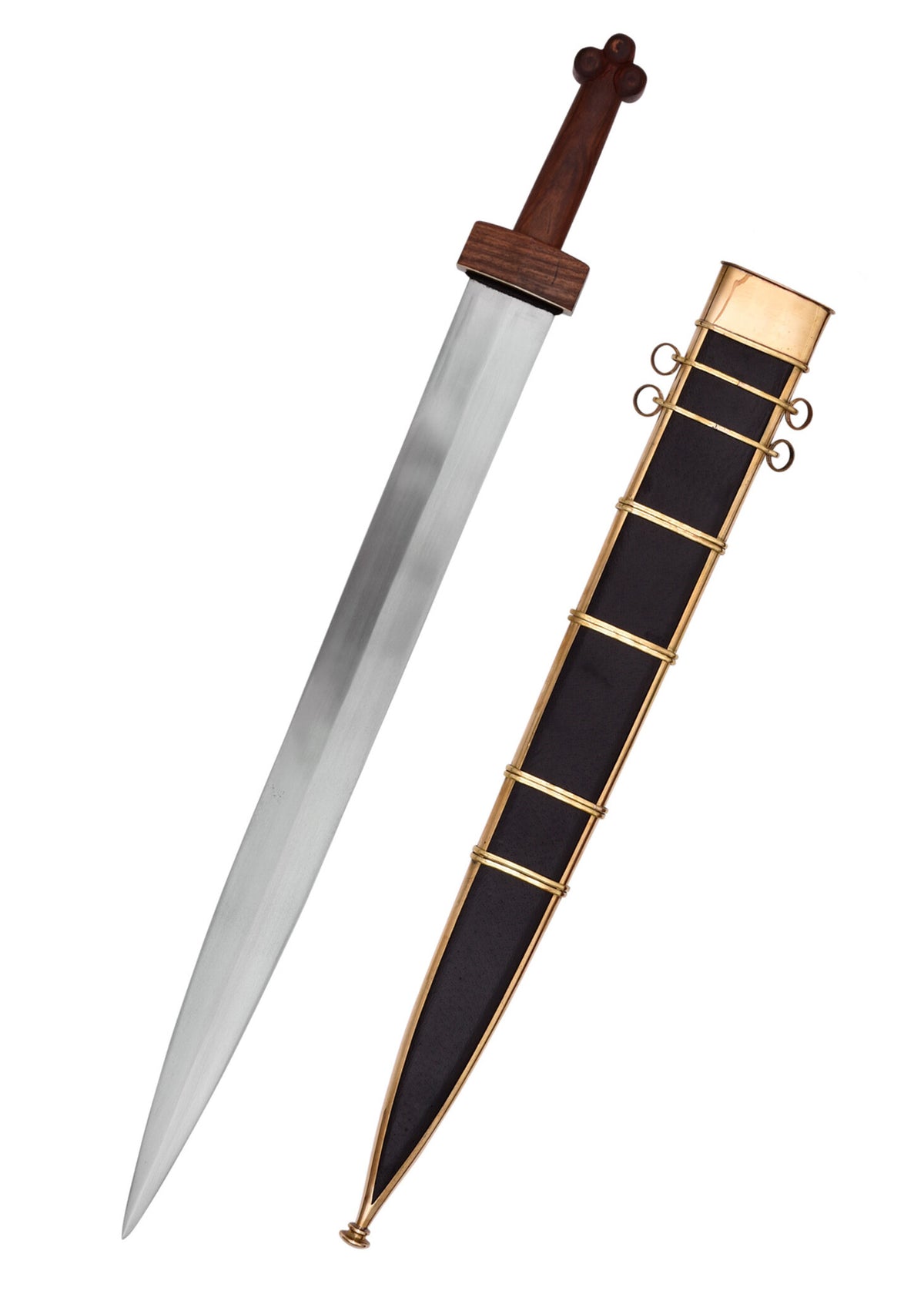 Republican gladius Hispaniensis, semi-sharp