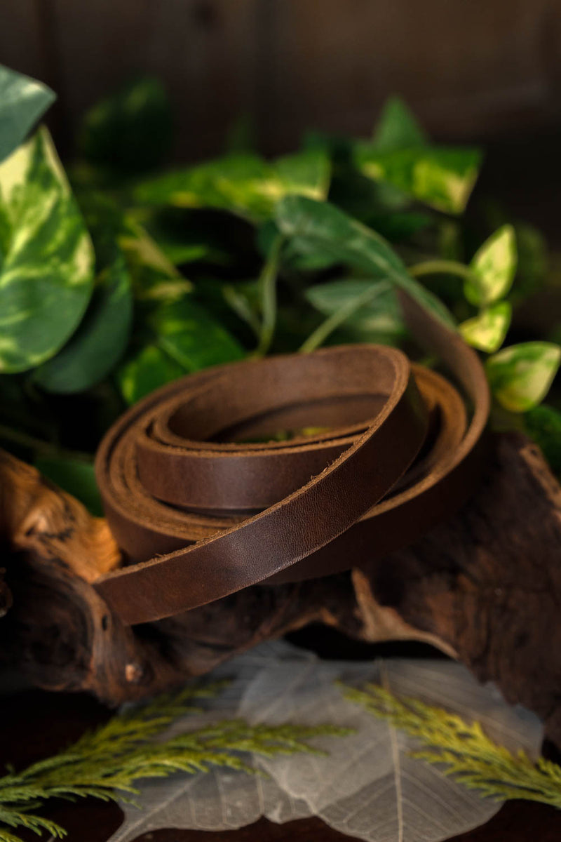 Lederriemen, braun, 4 × 180–190 cm
