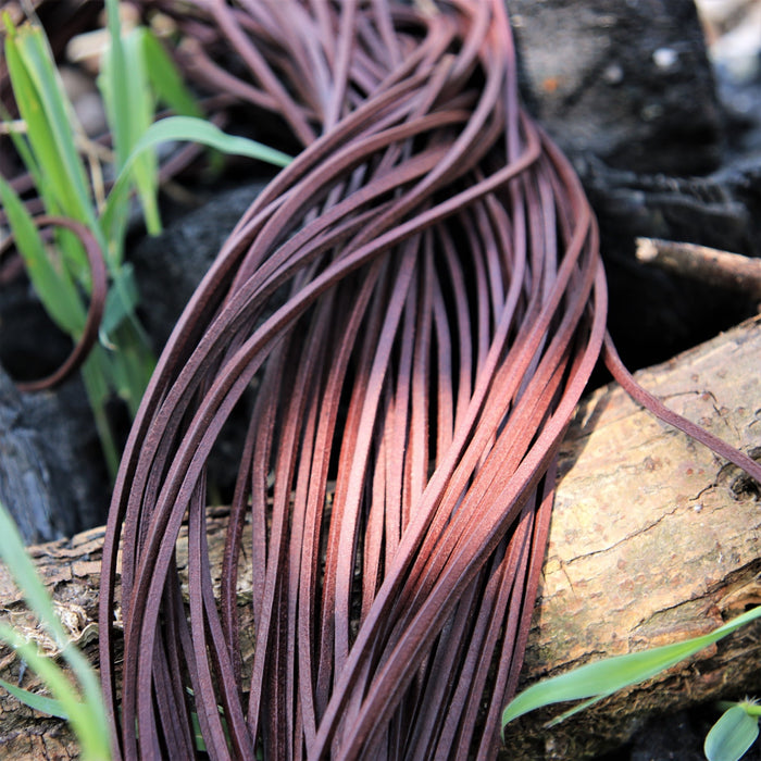 Leather laces, set of 50, black